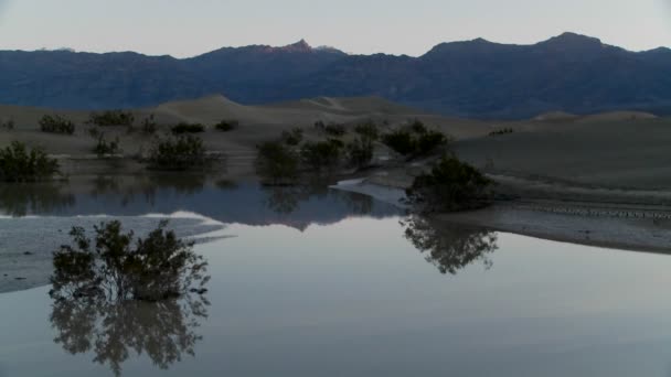 Oasis en Valle de la Muerte — Vídeos de Stock