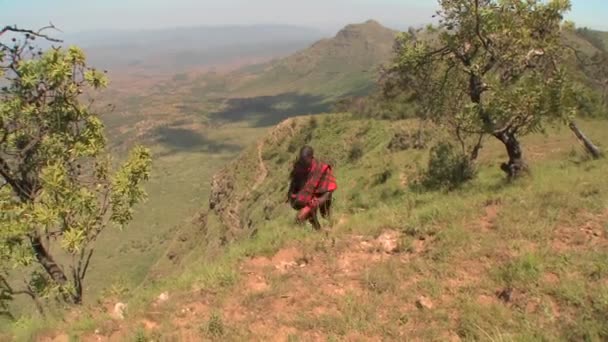 Masai guerriero a piedi — Video Stock