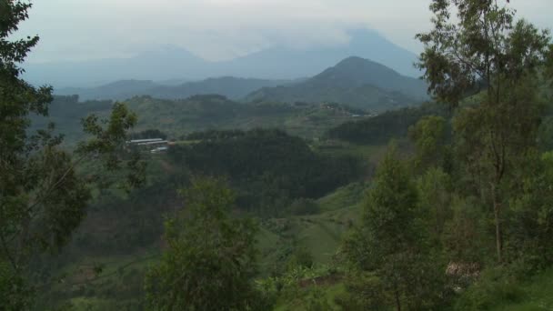 Los exuberantes paisajes que rodean los volcanes Virunga — Vídeos de Stock