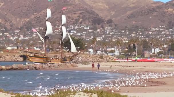Mast schooner seglar in i hamnen — Stockvideo