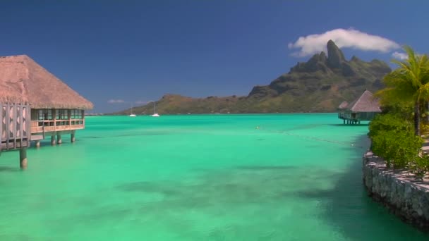 Tahitian huts rest — Stock Video
