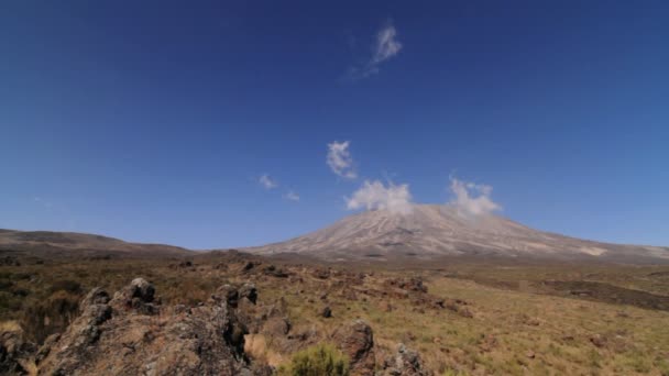 Kilimanjaro com caminhada trekker — Vídeo de Stock