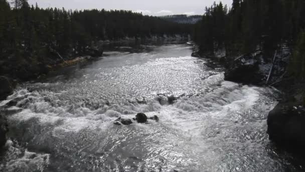 Geniş nehir akar — Stok video