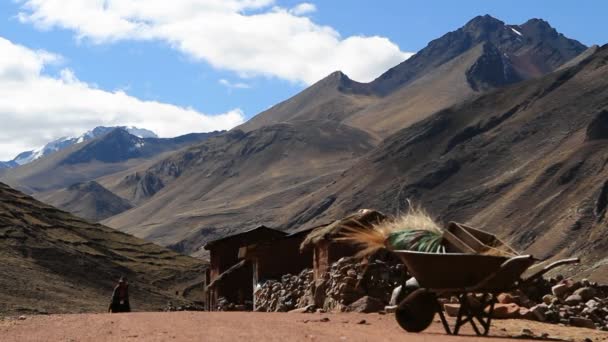 Mujer tradicional caminando — Vídeos de Stock