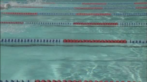 Swimmers race across a pool — Stock Video