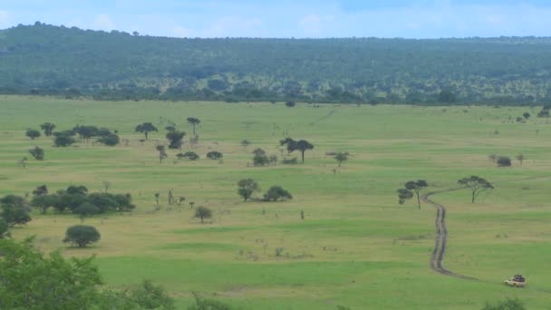 Safari-Jeep reist in Afrika — Stockvideo