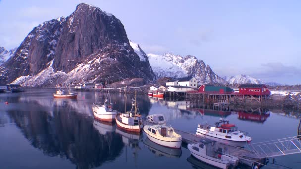 Port na Lofotach Arctic — Wideo stockowe