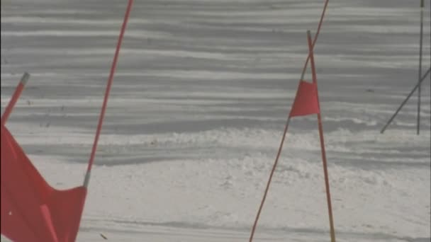 Skifahrer läuft eine Abfahrtsstrecke — Stockvideo