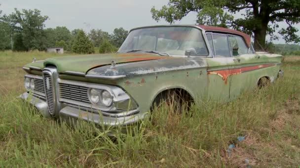 En gammal Ford Edsel sitter i ett fält — Stockvideo