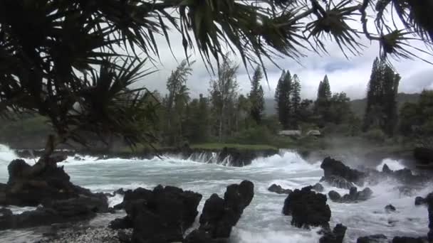 Storm Paneringsdeg Hawaii med vågor — Stockvideo