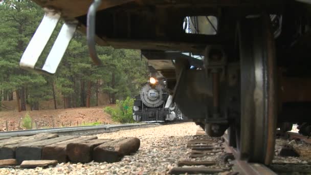 Tren de vapor pasando por las Montañas Rocosas — Vídeo de stock