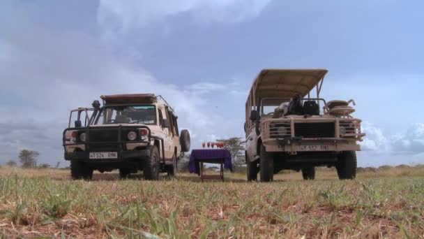 Safari jeeps are parked on the plains of Africa — Stock Video