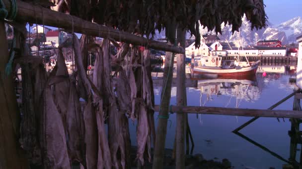 Os peixes são pendurados para secar em prateleiras de madeira — Vídeo de Stock