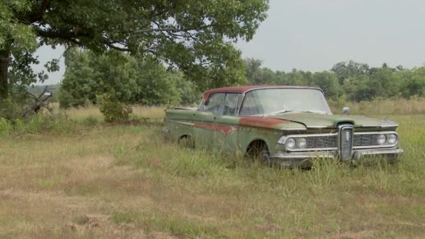 Starý Edsel Ford sedí v poli — Stock video