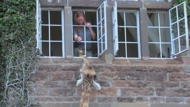 Giraffe molen buiten herenhuis — Stockvideo