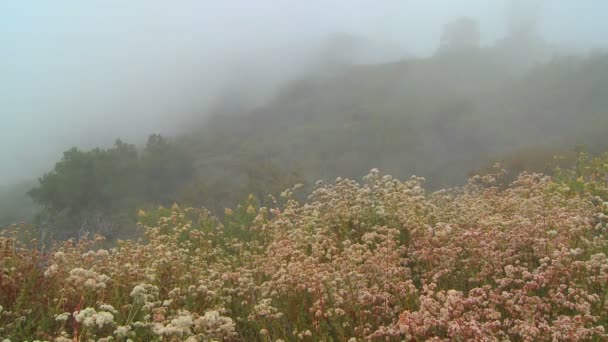 Niebla sopla sobre una montaña — Vídeos de Stock