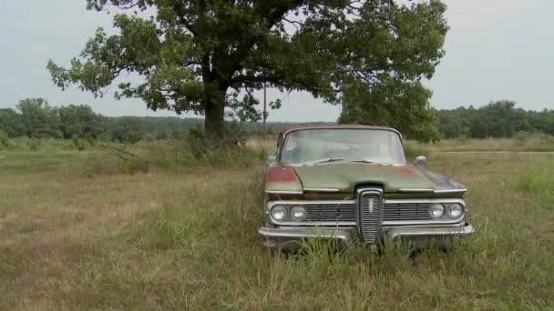 Um velho Ford Edsel senta-se em um campo — Vídeo de Stock