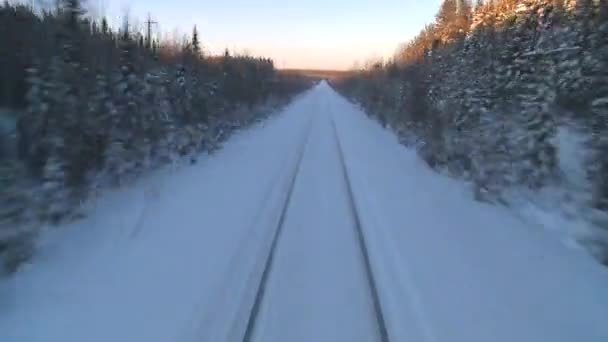 Train traversant un paysage enneigé — Video