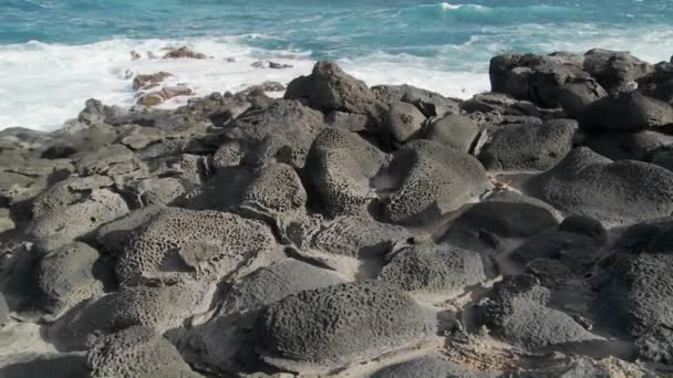 Vulkaniska strandlinjen på ön — Stockvideo