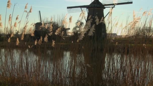 Windmolens permanent langs een kanaal in Holland — Stockvideo