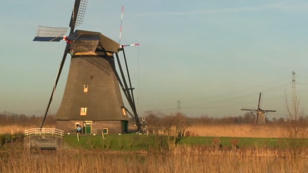 Een vrouw rijdt een fiets — Stockvideo