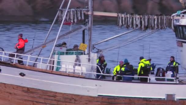 Fishing boats sails out to sea of Norway — Stock Video