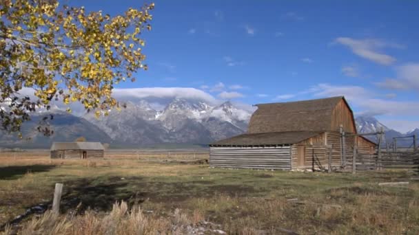 Celeiro com os Grand Tetons — Vídeo de Stock