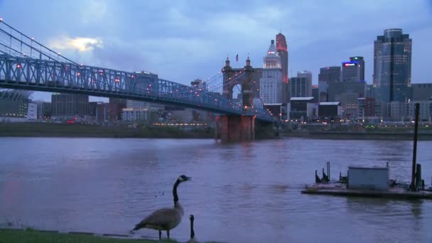 Barco fluvial pasa por el río Ohio — Vídeo de stock