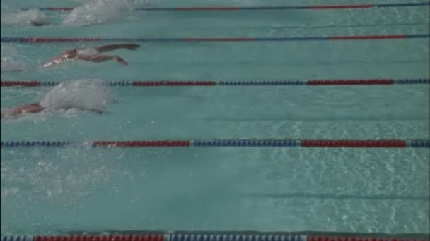 Simmare ras över en pool — Stockvideo