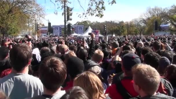 Protesters on the mall in Washington DC — Stock Video