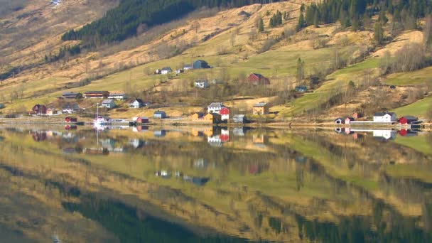Деревни и фермы во фьордах — стоковое видео