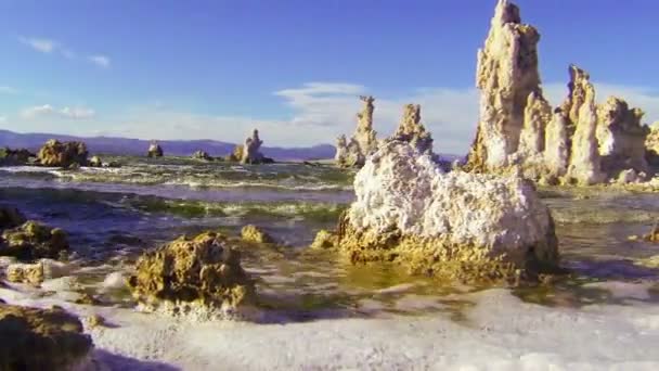 Берега озера Моно — стоковое видео