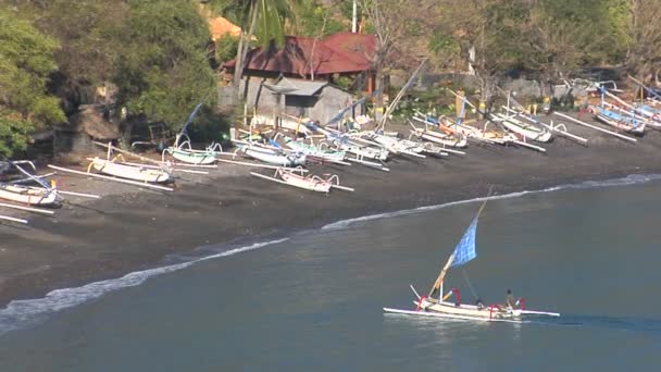 Un catamarán estilo barco motores — Vídeo de stock