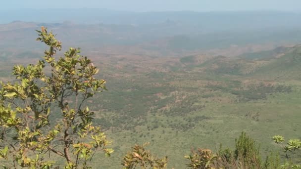 A Masai warrior stands at the edge of canyon — Stock Video