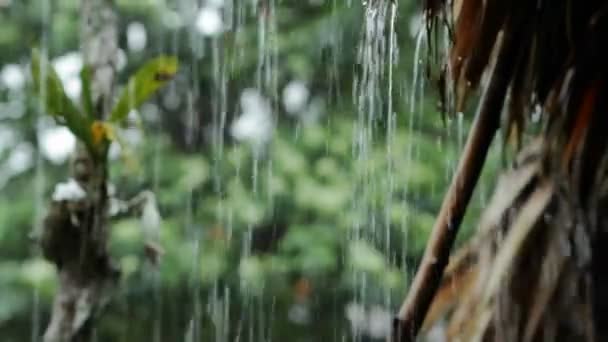Regen ergießt sich vor Hütte — Stockvideo