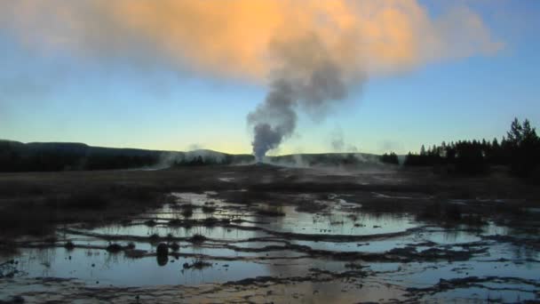 Un geyser manda vapore — Video Stock