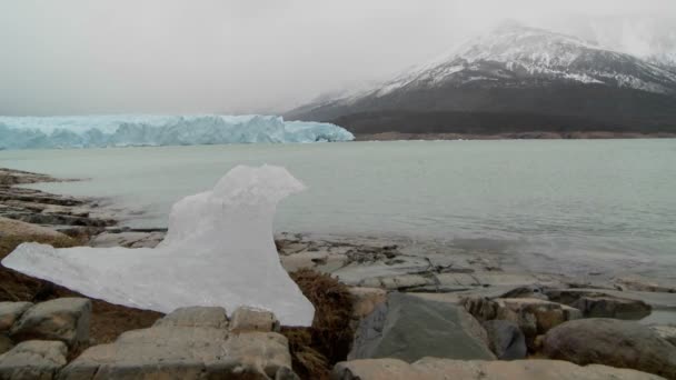 Stopiony lodowiec siedzi na suchy ląd — Wideo stockowe