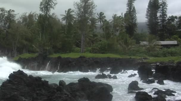 Storm Paneringsdeg Hawaii med vågor — Stockvideo