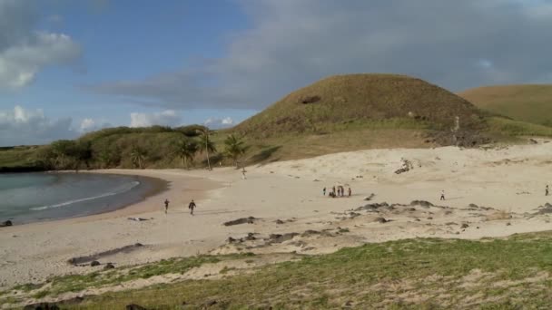 Abgelegener weißer Sandstrand — Stockvideo