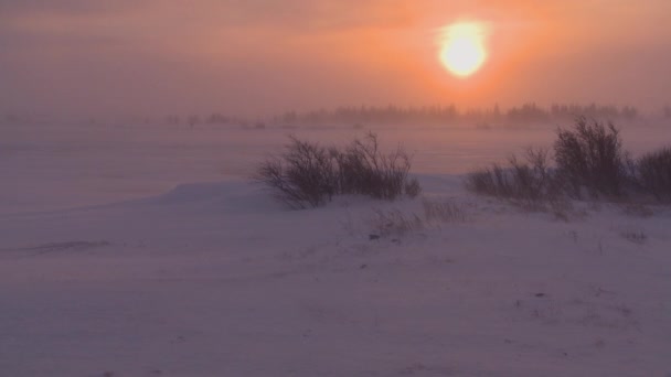 Matahari terbit di atas tundra beku di Arktik — Stok Video