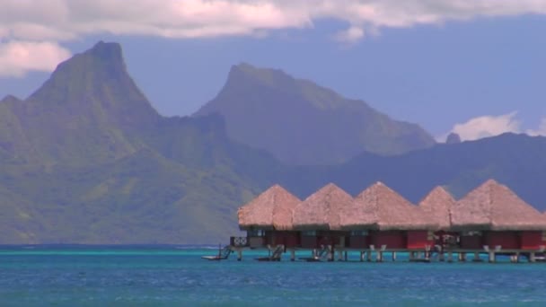 Tahitian huts on the water — Stock Video