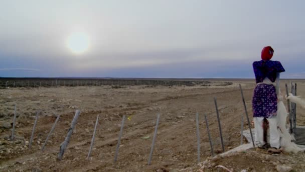 Un vecchio spaventapasseri si trova vicino a un campo — Video Stock