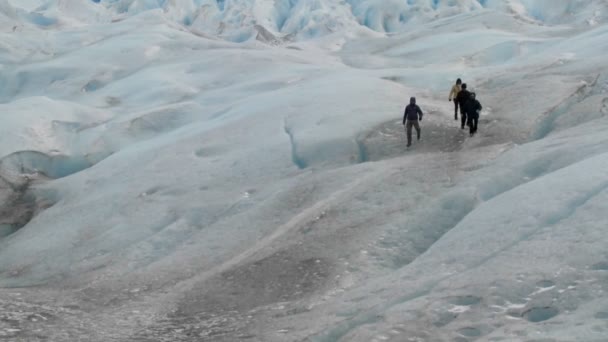 遠征は氷河の風景を越えて移動します。 — ストック動画
