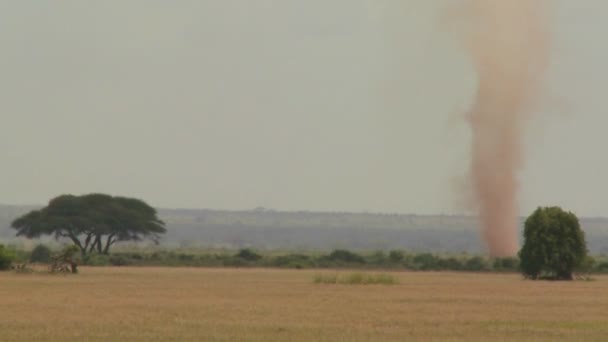 Tornado sopla por las llanuras — Vídeos de Stock