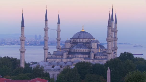 Голубая мечеть Стамбула — стоковое видео