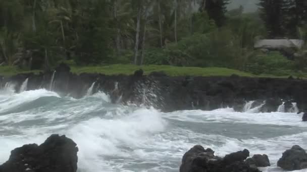 Battitori tempesta Hawaii con onde — Video Stock