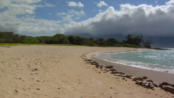 Golven rollen in een strand — Stockvideo