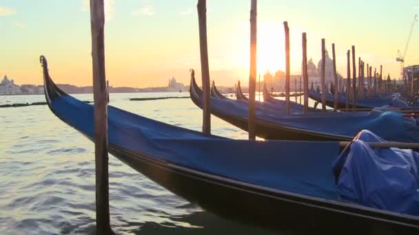 Ondergaande zon achter rijen van gondels — Stockvideo