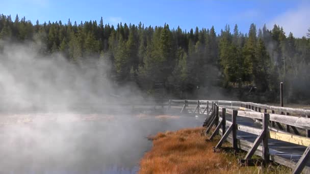 Dampf steigt aus einem Geothermalbecken auf — Stockvideo