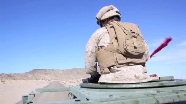 Marines and Navy Seals drive on patrol — Stock Video